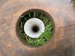 Septic Land Capability Assessment – Everything You Need to Know About Land Capability Assessments