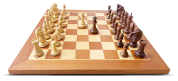 Explore Premium Chess Sets for Beginners and Experts