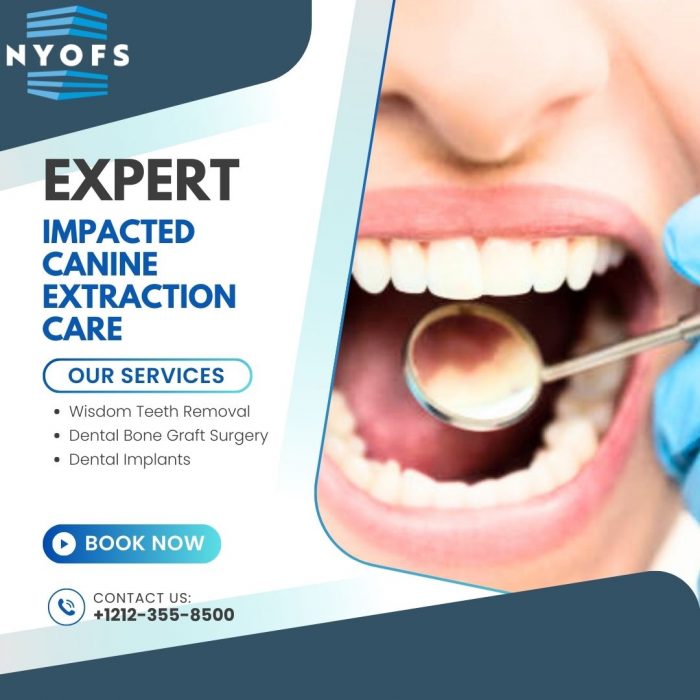 Expert Impacted Canine Extraction Care