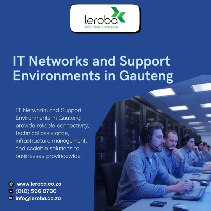 IT Networks and Support Environments in Gauteng