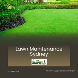 Lawn Maintenance Sydney – Hills Gardening