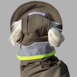Cool Dog Accessories for Stylish, Comfortable & Happy Pups