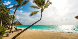 The Luxury Report: The Ultimate Destination for Jeweller Magazines and Magazines for the Rich