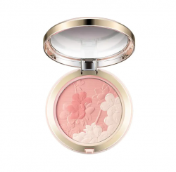 Multi-Colored Pearl Powder Makeup Blush Factory