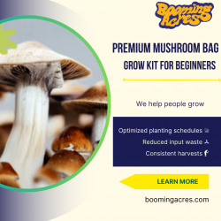 Premium Mushroom Bag Grow Kit for Beginners
