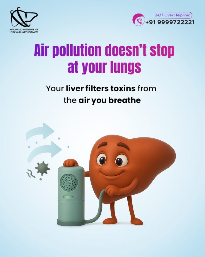 Air Pollution Affects More Than Just Your Lungs
