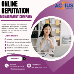 Online Reputation Management Company