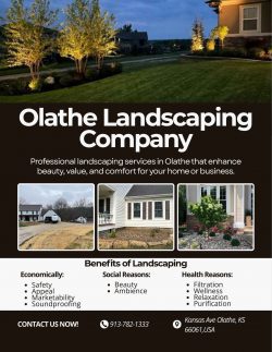 Premium Olathe Landscaping for Stunning Outdoor Spaces