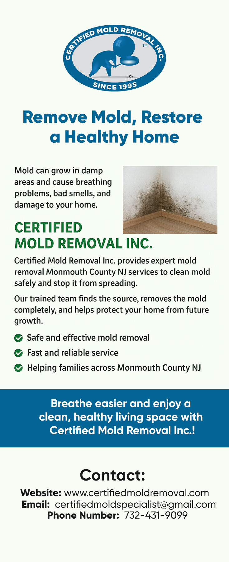 Remove Mold, Restore a Healthy Home
