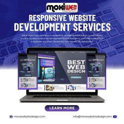 Website Designing Company in Noida