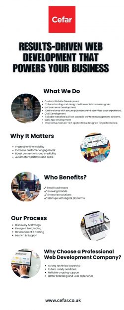 Professional Web Development Services to Grow Your Business