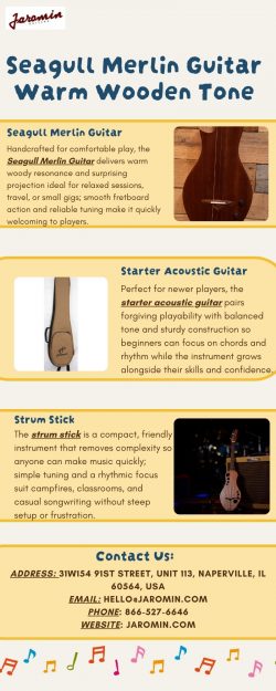 Seagull Merlin Guitar Warm Wooden Tone