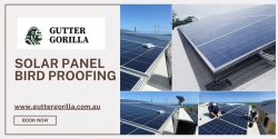 Solar Panel Bird Proofing Near Me in Australia – Protect Your Solar System