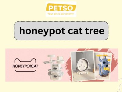 Stylish Honeypot Cat Tree for Climbing and Resting