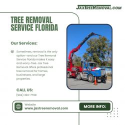 Tree Removal Service Florida