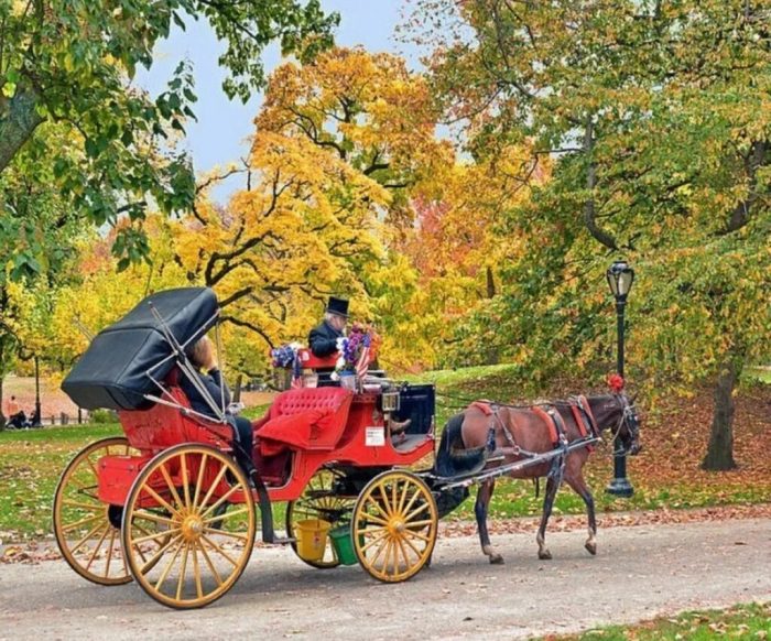 Best Carriage Ride in Central Park