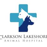 Laser Therapy Benefits for Pets in Mississauga