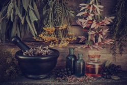 Functional Medicine Practitioner: A Personalized Path to Long-Term Health