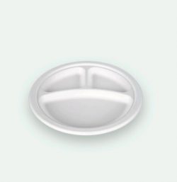 9 Inch 3-compartment Plate