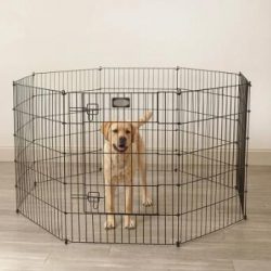Collapsible Dog Cage Kennel Playpen Heavy Duty Pet Exercise Pen with Low Price
