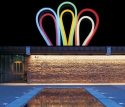 Neon Flex LED Strips 10X18mm