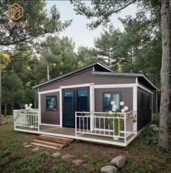 High Quality Luxury Light Steel Villa