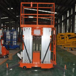 Double Mast Lift
