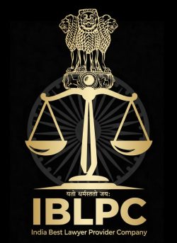 Cyber Lawyer: Legal Guidance for the Digital Generation