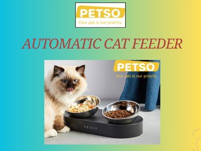 Automatic Feeders for Scheduled Feeding