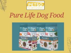 Balanced Dog Food for Everyday Health