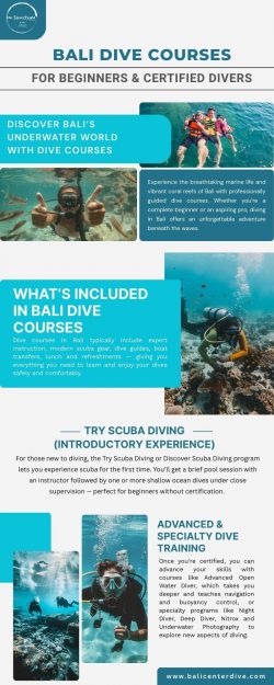 Bali Dive Courses for Beginners & Certified Divers