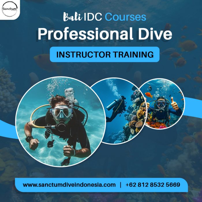 Bali IDC Courses – Professional Dive Instructor Training