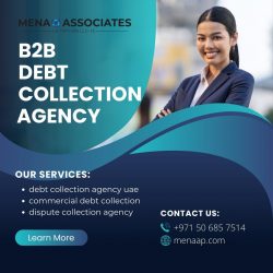 B2B Debt Collection Agency UAE | MENAAP