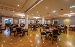 Best Place to Eat in Jaisalmer: Top Eats & Local Favorites | Hotel Rang Mahal