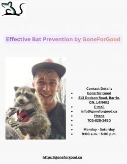 Effective Bat Prevention by GoneForGood