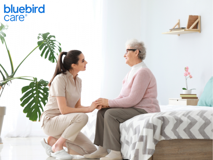 Reliable Elderly Care Providers in Barnet Bluebird Care Barnet
