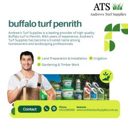 buffalo turf penrith