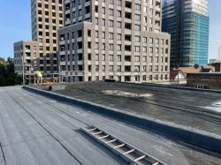 Professional Scaffold Companies Near Me