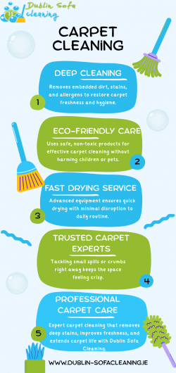 Reliable Carpet Cleaning Solutions for Fresh Interiors
