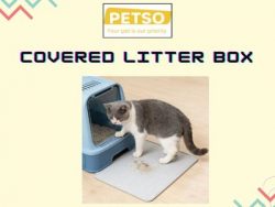 Covered Litter Boxes for Privacy & Cleanliness