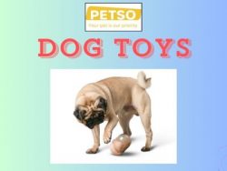 Durable Dog Toys for Active Play