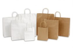 Eco Friendly Compostable Bags – MDS Associates, Inc.