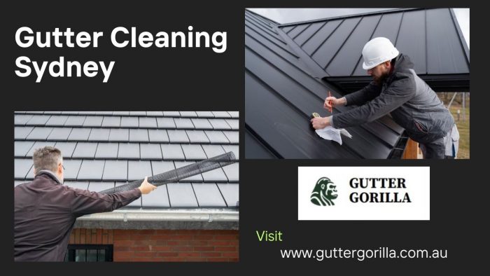 Professional Gutter Cleaning Services in Australia