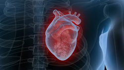 Heart Valve Replacement Surgery Cost in India – Hospisity