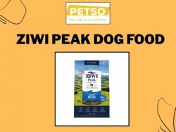 High-Quality Dog Food for Daily Nutrition