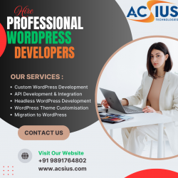 Hire Professional WordPress Developers