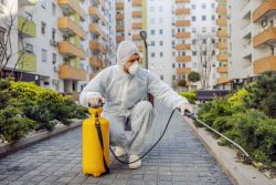 Trusted Pest Control Company Dublin