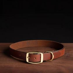 Leather Dog Collars Canada: Premium Style, Comfort, and Durability