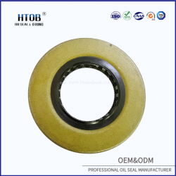 auto oil seal