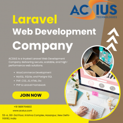 Laravel Web Development Company